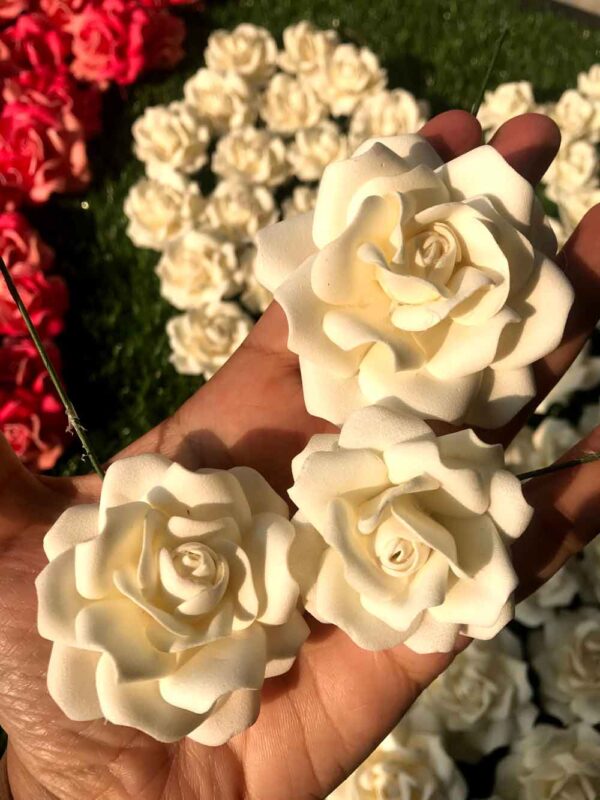 Roses - Image 15