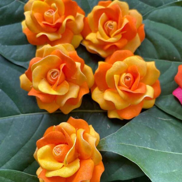 Roses - Image 19