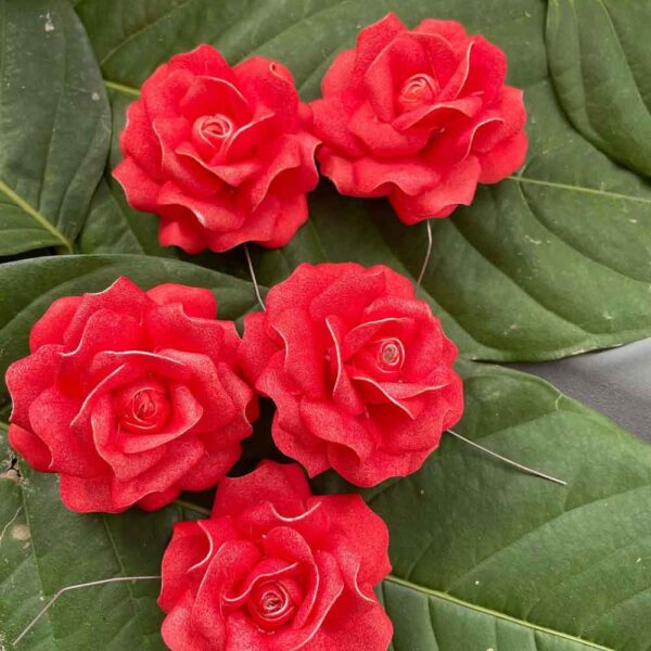 Roses - Image 21
